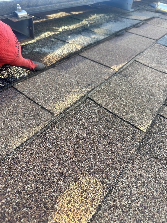 新しいアスファルトシングルを設置しました