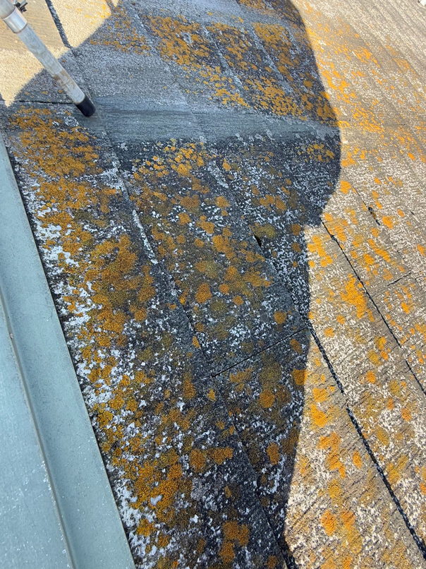 スレート屋根のコケ