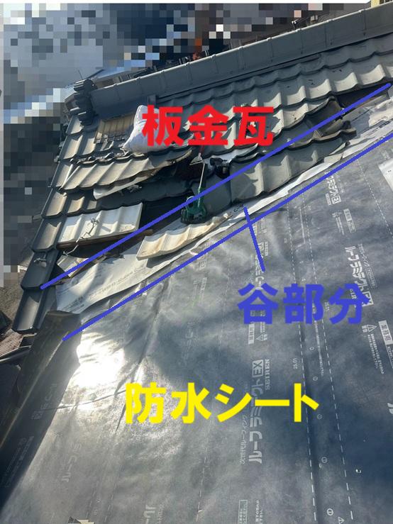 谷板金部分にも防水シート