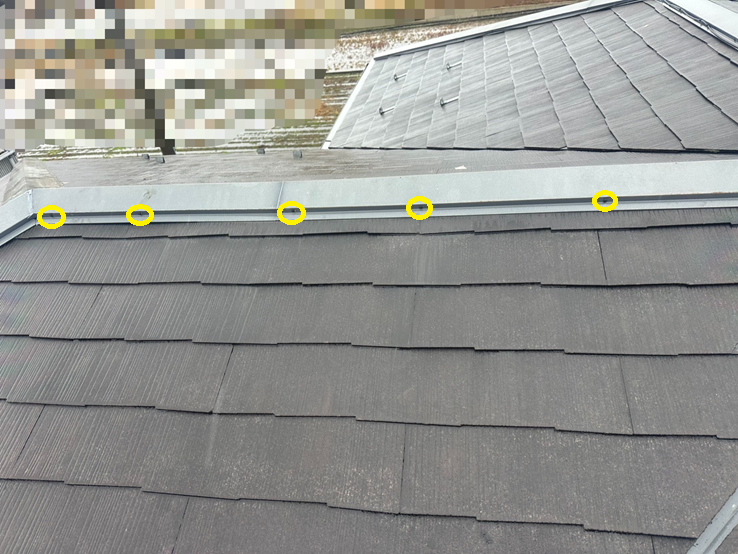 棟板金の釘が浮いていたのでビスへ交換