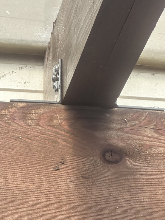 新しい垂木に交換