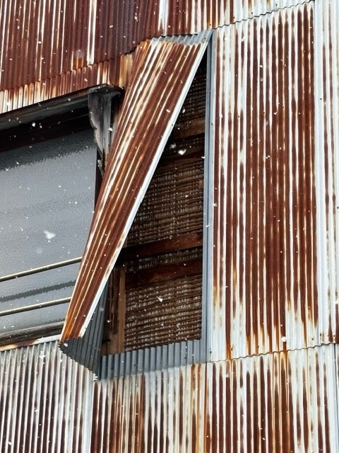 めくれ上がっていたトタン
