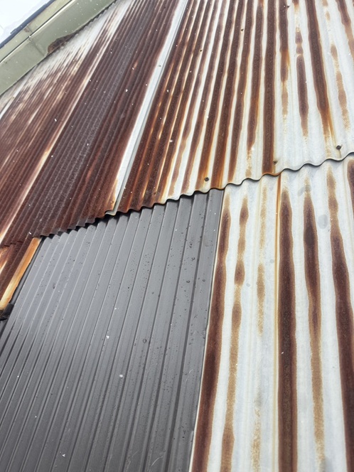 新しい波板設置