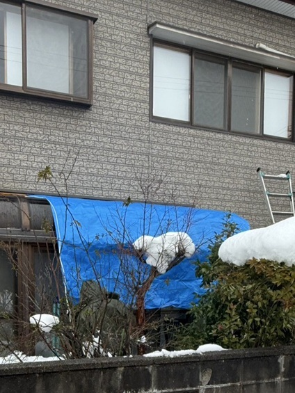 サンルームを養生