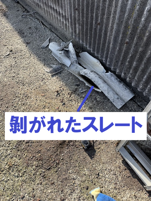 物置屋根から剥がれて飛ばされたスレート波板