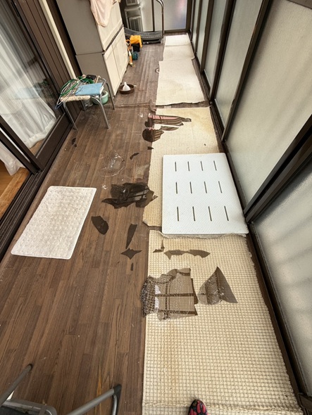 サンルームの中に入って確認すると…  床には割れたパネルの破片がたくさん落ちている状態でした。