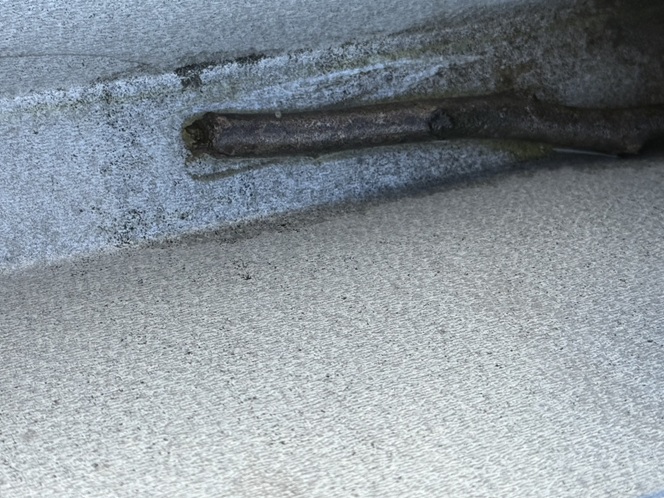 屋根に落ちていた小枝