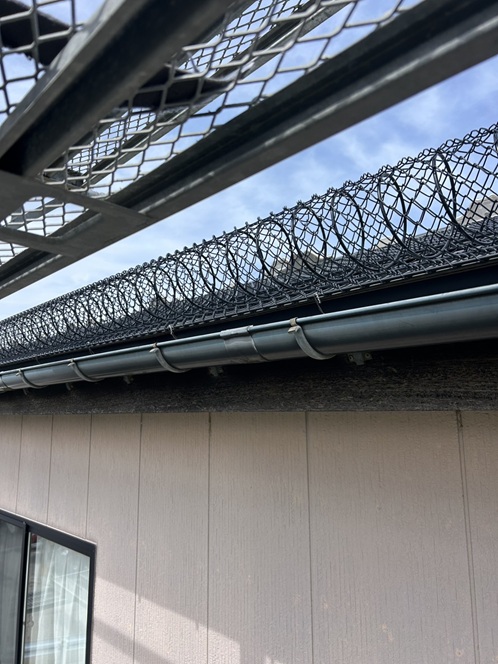 ゆきもちくん設置