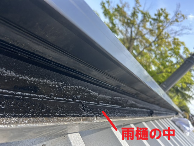 雨樋の中の詰まり