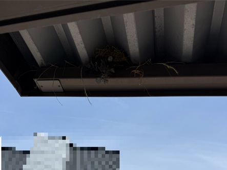【砺波市】以前ご相談いただいていたお客さまより「カーポートの鳥の巣撤去」と対策工事のご依頼