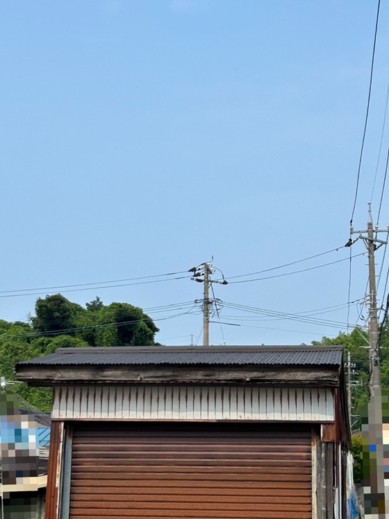 物置のトタン屋根をSGLガルバリウム鋼板へ葺き替え工事を行いました