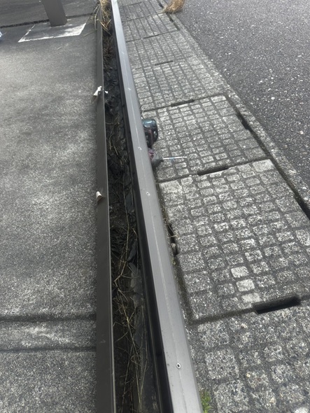 雨どいを外して鳥の巣を撤去