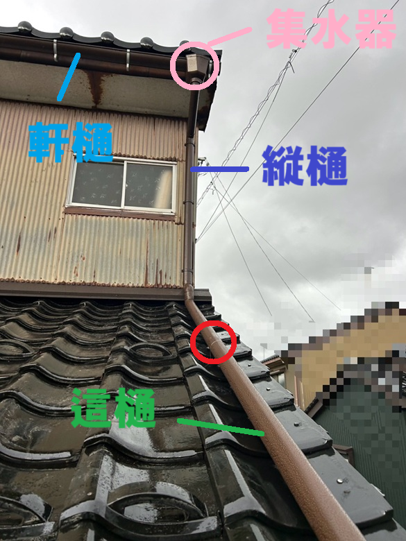 這どいの設置