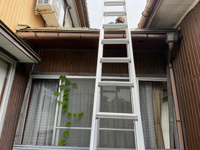 雨漏りしている屋根を確認
