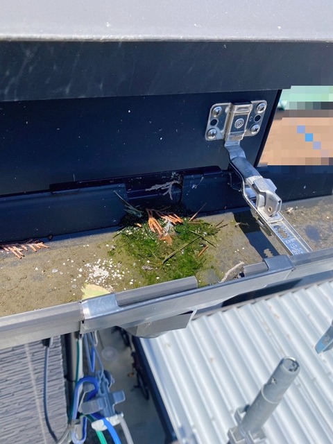 集水器の詰まりを取り除きます