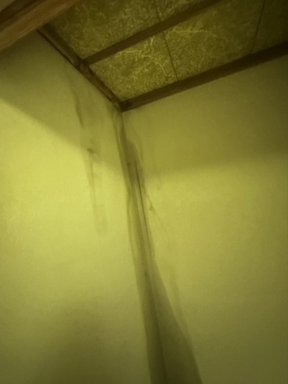 【射水市】雨漏りで畳まで濡れている…ズレた棟瓦とガタついた瓦を確認し、瓦屋根の葺き直しをご提案