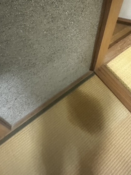 雨漏りで濡れた畳