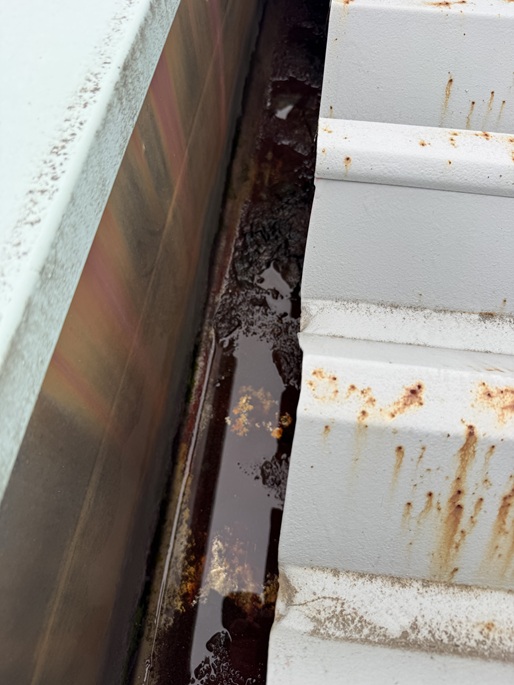 雨どいに溜まった土ぼこり
