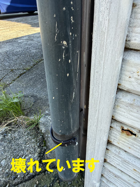 縦樋バンドが子荒れていました