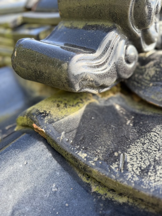 屋根にコケが生えています